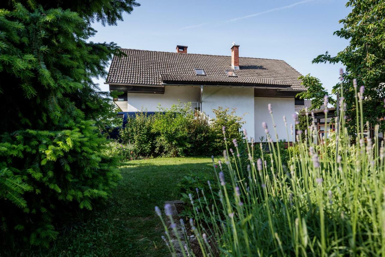 Cosy & Spacious Apt. Benc Zirovnica Zewnętrze zdjęcie